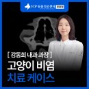 청담아이윌동물병원 | 고양이 비염 증상과 치료 후기, 청담 VIP동물병원