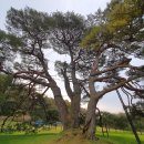 반송마을회관 이미지