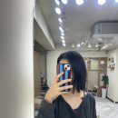 요놀라 이미지