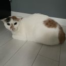 위트러스트커피랩 이미지