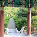 고운정식당 이미지