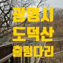 테라부동산중개 | [나들이/광명]이사후 광명도덕산공원 출렁다리에 다녀온 후기입니다.