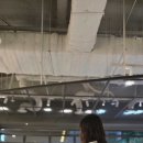 바레유스튜디오