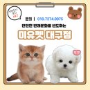 밀양우리병원 | 밀양먼치킨분양, 귀여움보다 먼저 봐야 할 9가지