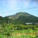 김용택 축사 이미지