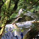 운하농장 이미지