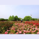 곡성-084 이미지