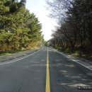 만리포해수욕장 관광지 이미지