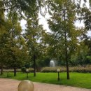 정효영내과의원 이미지