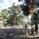 핑크하우스 이미지