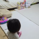 ㈜니즈 | 내 동생 콩콩이 |퍼기 이중 스팀 촉촉 찜기 | 리틀클라우드 목욕놀이 거북이 장난감 찐 사용 후기