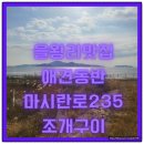 마시란로 235 조개구이 | 을왕리 맛집 애견동반식당 마시란로235 조개구이 창가뷰에서 즐긴 솔직후기