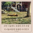 현대카랜드 내덕점 | 과천 서울대공원 동물원 주차 입장료 서울랜드 동물원 주말 아기랑