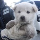 시흥상동로 이미지