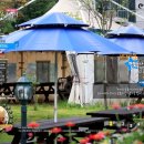 별빛소나타 이미지