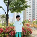 밀리밤 milibam 데일리 랍빠 배색 상하세트 MLRT24461