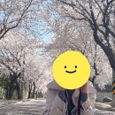 [경남 산청 글램핑] 럭셔리 캠핑감성 &#39;시즌글램핑&#39; 4인 후기