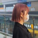 살롱드레이브 이미지