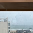 송정 미연 이미지