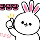 필리아 헤어 이미지