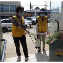 조암시장 이미지