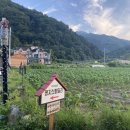 명지산 패밀리 펜션 이미지