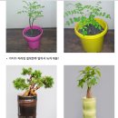 호산농원 이미지