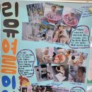 우리가족 여행신문 만들기~🌱 이미지