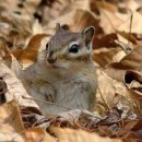 을지초등학교 이미지