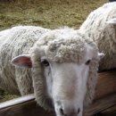 무도목장 이미지