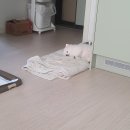 연세복싱 | 서대문 맛집 홍제동 맛집 [산천마루] 누룽지백숙 맛집 주차 및 솔직후기