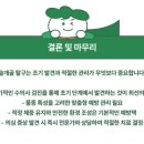 미유펫 동물병원 이미지