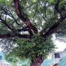 덕곡보건지소 이미지