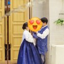 댕기아리아