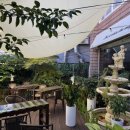 박성환 돈까스 이미지