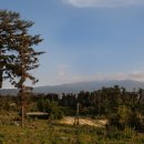 아라스테이 이미지