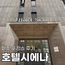 파주 호텔 시에나 프리미엄 스위트룸 헤이리마을 근처 호캉스 후기