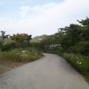 포항시북구89 이미지