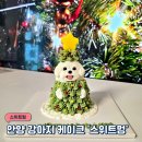 GS25 군포금정점 | 군포 안양강아지케이크 예쁜 수제 강아지 생일케이크 기념일케이크 후기 - 스위트멍