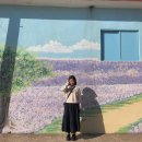 섬in섬 연홍미술관 이미지