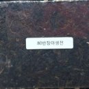 수원-0909 이미지