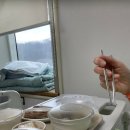 희망찬동물약국 | 치질 수술을 받았다