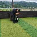 씽크독스쿨 이미지