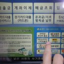 콜피싱