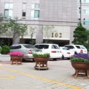 주정차051 네이버블로그