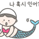 수영클린 이미지