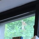 비천계곡펜션