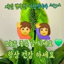 어느 노인의 독백 이미지