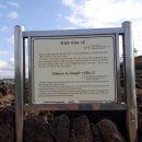 동일리 지석묘 4호 이미지