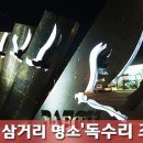 반야월삼거리 이미지